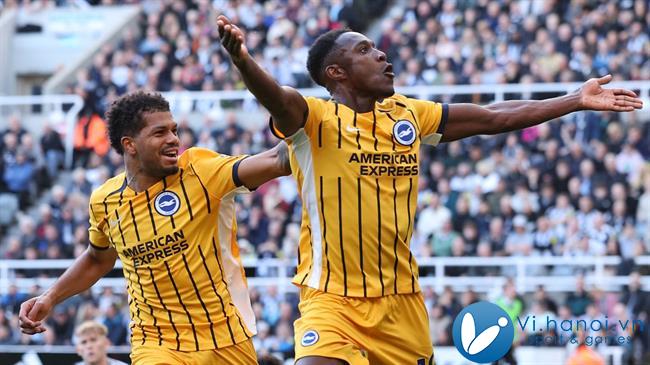 Nhận xét Brighton vs Wolves (21h00, ngày 26/10) Bữa tiệc bàn thắng 1