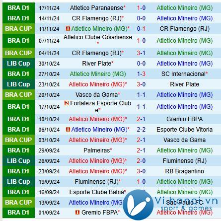 Nhận xét trận đấu Atletico Mineiro vs Botafogo FR 7h30 21/12/2011 (Giải vô địch quốc gia Brazil) 2