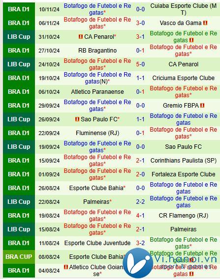 Nhận xét trận đấu Atletico Mineiro vs Botafogo FR 7h30 21/12/2011 (Giải vô địch quốc gia Brazil) 3