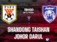 Dự đoán ưu tú của Shandong Taishan vs Johor Darul cup c1 AFC Champions League hôm nay