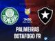 Palmeiras vs Botafogo FR